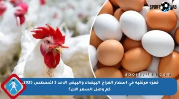 قفزة مرتقبة في أسعار الفراخ البيضاء والبيض الأحد 3 أغسطس 2025.. كم وصل السعر الآن؟